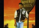 Superdetective en Hollywood II